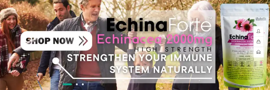 10 Best Supplement Brands for Supporting Men's Health 2 Best Supplement Brands for Supporting Men's Health